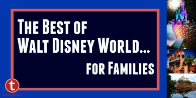 The Best of WDW for Families Graphic